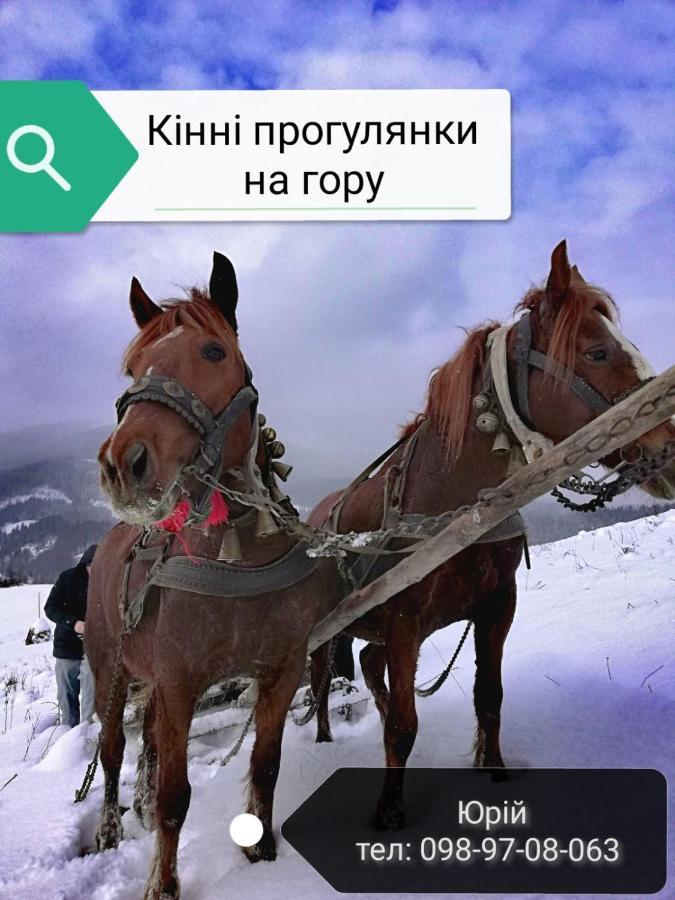 Hotel "Ізківський Затишок" Село Ізки Zewnętrze zdjęcie